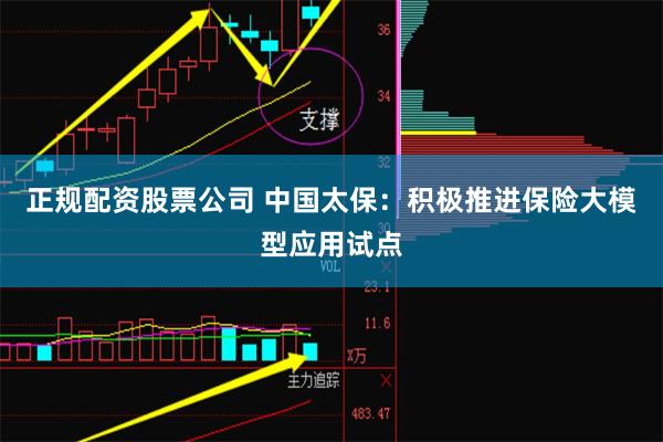 正规配资股票公司 中国太保：积极推进保险大模型应用试点