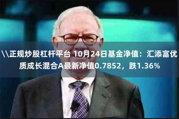 \正规炒股杠杆平台 10月24日基金净值：汇添富优质成长混合A最新净值0.7852，跌1.36%