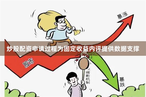 炒股配资申请过程为固定收益内评提供数据支撑
