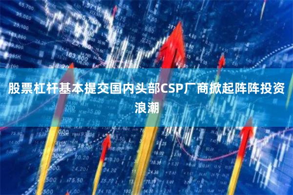 股票杠杆基本提交国内头部CSP厂商掀起阵阵投资浪潮