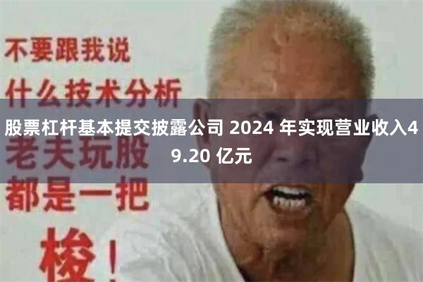 股票杠杆基本提交披露公司 2024 年实现营业收入49.20